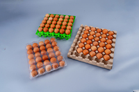 Caisse à oeufs colorée de haute qualité PP 30 plateau de transport d'oeufs plateau à oeufs de poulet en plastique pour la ferme de poulet