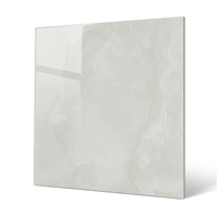 Carrelage en porcelaine émaillée gris clair 60x60, finition brillante pour projets résidentiels
