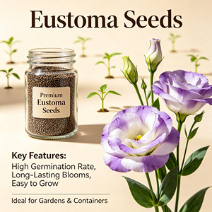 Semillas de Lisianthus de Alto Rendimiento, Semillas de <span class=keywords><strong>Eustoma</strong></span> <span class=keywords><strong>Grandiflorum</strong></span>, Semillas de Flores Ornamentales en Maceta para Decoración del Hogar, Venta al por Mayor - Product Image 3
