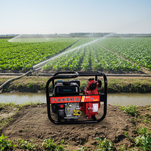 Bomba de Agua a Gasolina de Alta Presión 20H (Serie de Bombas con Motor de Gasolina), 55m de Altura de Elevación, Arranque Manual - Product Image 1