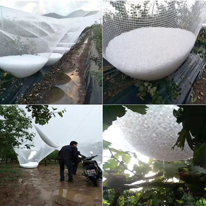 Chất Lượng Cao HDPE Mưa Đá Lưới Chống Mưa Đá Lưới Di Động Không Thấm Nước Cho Hiệu Quả Mưa Đá Bảo Vệ Thân Thiện Với Môi Trường PE Nhựa - Product Image 5