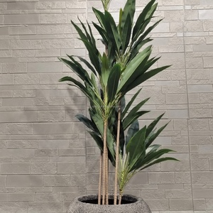 กระถางต้นไม้ดีไซน์ทันสมัยจากไฟเบอร์เคลย์ ตกแต่งภายในและภายนอกอาคารอย่างมีเอกลักษณ์ด้วยสไตล์ที่ไม่เหมือนใครสำหรับการปลูกต้นไม้ - Product Image 6