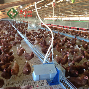 Tự động gia cầm trung chuyển cho gà thiết kế mới Gà Thịt Chảo chăn nuôi thiết bị Gà Gia cầm trang trại động vật feeders - Product Image 4
