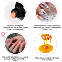 Easy Nails G14 SANS HEMA/DI-HEMA Gel Poly LED Pailleté pour Ongles Français, Non Toxique, Végan, Écologique, Tenue 3-4 Semaines