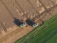 Mesin Panen Jagung Singkong Multifungsi GF831M, Traktor Mini Penggerak Sendiri untuk Pertanian