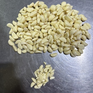 Chất lượng cao tươi Bóc Vỏ Tỏi cho xuất khẩu - Product Image 1