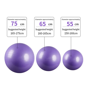 <span class=keywords><strong>Ballon</strong></span> <span class=keywords><strong>de</strong></span> yoga en PVC souple et écologique, personnalisé <span class=keywords><strong>avec</strong></span> logo OEM pour marque privée, idéal pour l'exercice et la <span class=keywords><strong>gym</strong></span>, disponible en 55cm, 65cm, 75cm, <span class=keywords><strong>avec</strong></span> pompe - Product Image 2