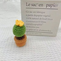 Cactus en crochet fait main, plante en pot, succulente tricotée, ornement de bureau, amigurumi, décoration d'intérieur, en stock