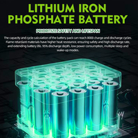 Batterie murale pour système solaire domestique 15Kwh 16Kwh 51.2V 200Ah 300Ah 304Ah 314Ah LiFePO4 Lithium-ion