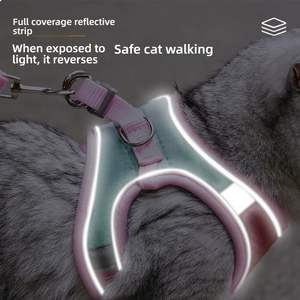 طقم حزام للقطط عاكس للضوء وصديق للبيئة من الجلد المدبوغ، تصميم عصري للمشي في الهواء الطلق للقطط الصغيرة والمتوسطة الحجم مصنوع من البوليستر - Product Image 2