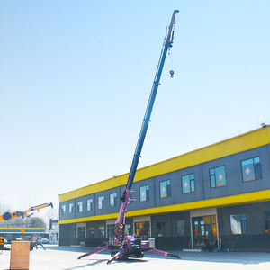 Leepa auf Lager Günstiger Preis 5T Mini-Raupenkran mit Honda Diesel/Elektromotor 17m Max. Hubhöhe Hohe Effizienz - Product Image 2