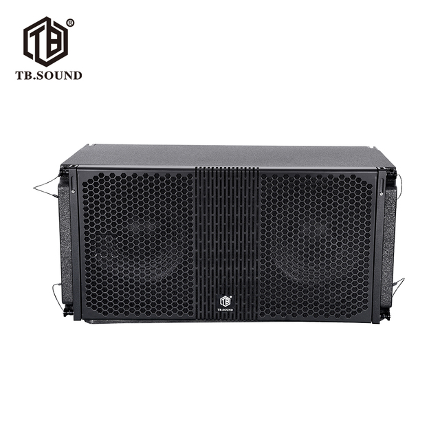 High Quality Dual 12-Inch Line Array Speakers with 1200W Subwoofer Premium Sound System