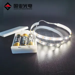 Customized 2835 smd 4.8w 3v battery operated led strip with aaa cell box casing