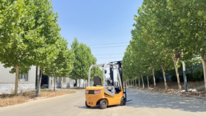 Minicarretilla elevadora eléctrica de 1 tonelada con certificado CE/ISO con batería de plomo-ácido de mástil de 2 niveles y 3 metros - Product Image 4