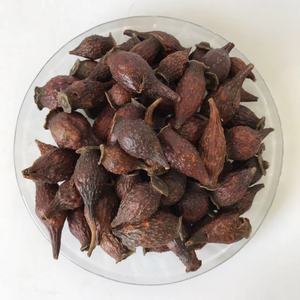 Fructus Rosae Laevigatae (Jin Ying Zi) Essiccato <span class=keywords><strong>Naturale</strong></span> Senza Zolfo, Materia Prima per Zuppe Erboristiche TCM, Fornitura all'Ingrosso, Confezione da 1kg - Product Image 1