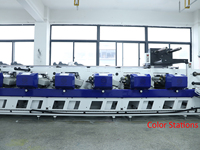 Servomoteur ZY-350P-8 couleur Type pétale autocollant UV étiquette horizontale Machine d'impression Flexo