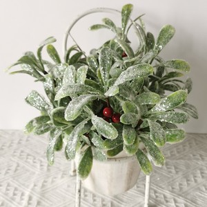 Simulation <span class=keywords><strong>de</strong></span> végétaux verts (hollwagge) pour la décoration intérieure, <span class=keywords><strong>l</strong></span>'aménagement hôtelier et la simulation florale - Product Image 2
