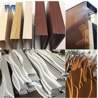 Nouvelle conception moderne de mur-rideau en métal rayé avec revêtement imperméable, découpe laser 3D, écologique, léger, en aluminium