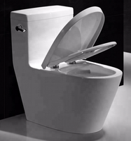 Salle de bain céramique, toilette 1 pièce, nouveauté 2022, livraison gratuite