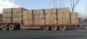 Composant croisé automatique de rayon X de fil de cisaillement de fil de machine de presse de mitraille de compacteur Mini - Product Image 4