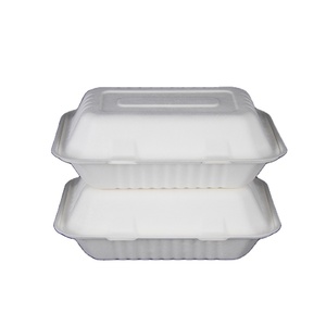 Professional manufacturer disposable sugar cane bagasse food takeaway box container with lowest price