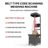 Peseuse automatique de contrôle des cartons pour boîtes à colis Pesée dimensionnelle et numérisation Système DWS pour le tri par numérisation dimensionnelle des colis