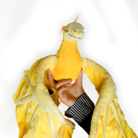 Jeu de mode en peluche personnalisé jouet OEM CE dinosaure réaliste Goanna Anime animaux en peluche jouets de dinosaures conception personnalisée animal en peluche