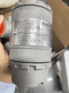 Bon prix Rosemounte 2051TG en acier inoxydable en ligne avec collecteur à 2 voies - Product Image 4