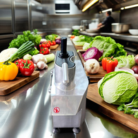Nouvelle Machine à Broyer les Légumes et Fruits 2025 à Haute Efficacité, Moteur 220V pour la Fabrication de Chips