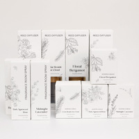 Vente en gros 100ml chambre intérieure de luxe bureau voiture spray design simple parfum aromatique chambre spray