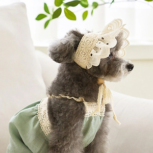 Ropa para perros Mono con ribete de encaje verde para perros pequeños Ropa para perros medianos y grandes Chihuahua <span class=keywords><strong>Shih</strong></span> <span class=keywords><strong>Tzu</strong></span> Yorkshire Terries Ropa - Product Image 3