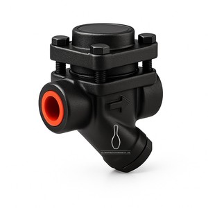 Trampa de Vapor Termostática de Presión Equilibrada Roscada de Acero Forjado Horizontal Serie TS80 BPC32 DIN 1.0509 - Product Image 1