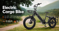 Vélo électrique Mario 250w 750w avec moteur à moyeu arrière, pneus larges, vélo cargo électrique, vélo électrique de ville avec porte-bagages arrière