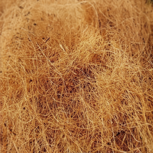 Fibre de noix de coco naturelle de haute qualité pour matelas brosses cordes tapis de culture paillis fibre de coco vente en gros de l'Inde - Product Image 1