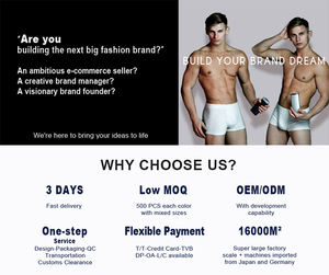 HAGO OEM sostenibile in bambù traspirante <span class=keywords><strong>Mini</strong></span> Boxer da <span class=keywords><strong>uomo</strong></span> con imballaggio logo personalizzato - Product Image 4