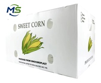 Cartons à légumes ventilés en PP alvéolaire, emballages réutilisables pour les marchés fermiers et le transport d'épicerie