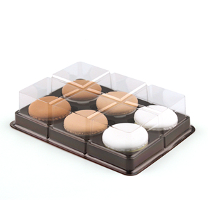 Factory wholesale high quality ready to ship plastic blister and gift box for macaron 6 pcs macarons box plastic
