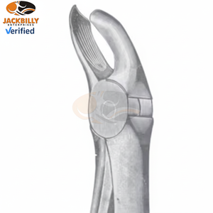 คีมถอนฟันสแตนเลสขนาดต่างๆ - Product Image 1