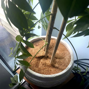 Eco2go Vietnam - Manta Protectora Biodegradable para Plantas de Coco - Product Image 1