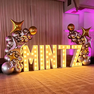 Customized LED Letter Sign Warm White Light Indoor <b>Decorative</b> <b>Lighting</b> Acrylic Material AC Power 3500K - Product Image 2