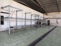 Équipement de traitement automatique de volailles de grande capacité pour abattoirs, machine de transport à rouleaux pour poulets vivants