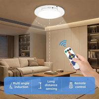 Lampe de plafond à détecteur de mouvement, rechargeable par USB Type-C, magnétique, sans fil, murale, télécommandée, veilleuse LED pour cuisine et vestiaire