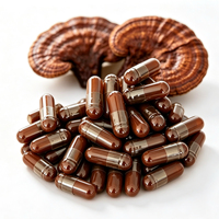 Capsules de poudre de spores de Ganoderma Lucidum à coque brisée, riches en triterpènes, supplément alimentaire de champignon Reishi, OEM en vrac
