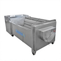 Multifunctionele Rode Biet Schil- en Wasmachine Radijs Wasmachine Aardappelborstel Wasmachine 380V 2.2KW