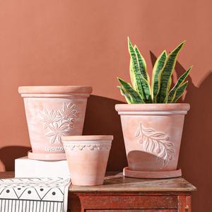 Offre Spéciale terre cuite argile planteur intérieur extérieur Pot de jardin <span class=keywords><strong>pour</strong></span> plantes <span class=keywords><strong>succulentes</strong></span> cactus fleur d'olive sol suspendu utilisation en gros - Product Image 3