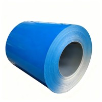 Tôle de Toiture Métallique Ondulée Prépeinte AZ41-AZ60, Enduite de Zinc, Acier Galvanisé, Norme ASTM BIS