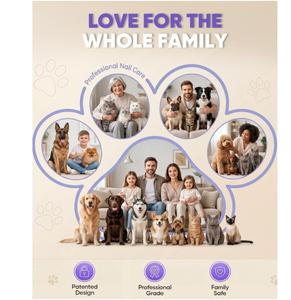 <span class=keywords><strong>Prix</strong></span> de gros direct usine Produit pour animaux de compagnie Coupe-griffes puissant 2-en-1 en acier inoxydable pour chiens et chats avec lime de précision - Product Image 3