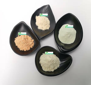 100% Natural Água Solúvel Verde Ameixa Pó Verde Extrato Ameixa Verde para Alimentos e Bebidas - Product Image 4