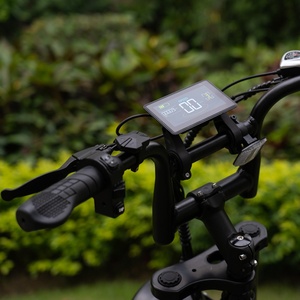 Bicicleta Eléctrica RTS 2024, Modelo Popular, Fat Bike 48v 250w, Fatbike Ebik, Bicicleta Eléctrica de Montaña Económica - Product Image 6