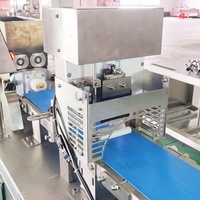 Extrudeuse automatique, extrudeuse électrique, pour chocolat, noix, protéines, énergie, céréales, granola, bar à gâteaux, biscuits